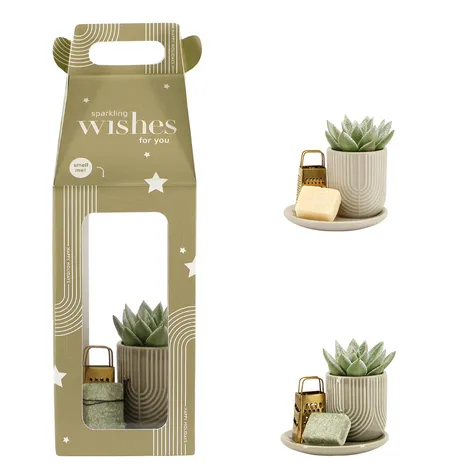 Aromatic Christmas Giftset small - Snowy succulent
